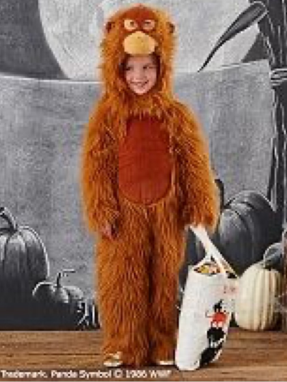 Pottery Barn Kids Orangutan Halloween costume size 4-6 fuzzy